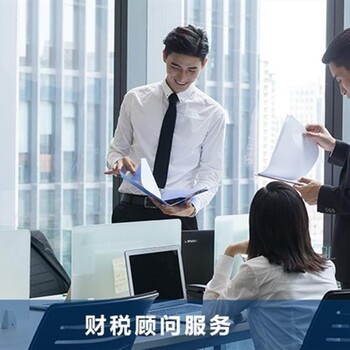 浦东新区财税服务 企业财务咨询的精准护航
