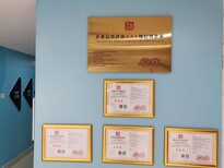 郑州公司内部审计、财务核算与咨询服务全攻略
